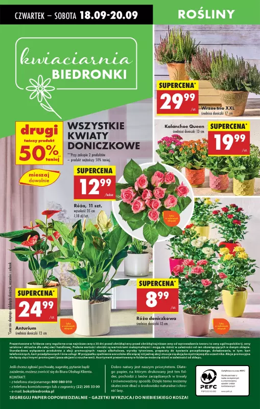 Biedronka - gazetka promocyjna Od czwartku od czwartku 18.09 do środy 24.09 - strona 77