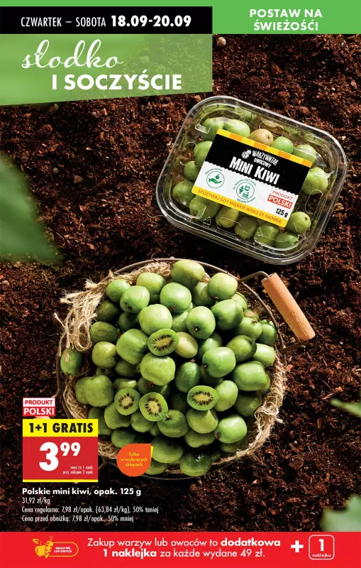 Biedronka - gazetka promocyjna Najlepsze promocje! od czwartku 18.09 do soboty 20.09 - strona 10