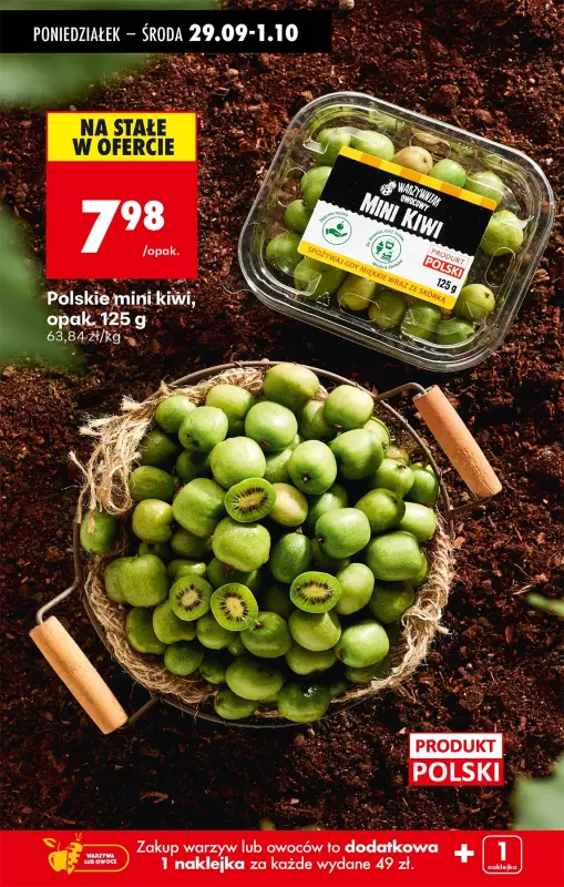 Biedronka - gazetka promocyjna Od poniedziałku od poniedziałku 29.09 do niedzieli 05.10 - strona 25