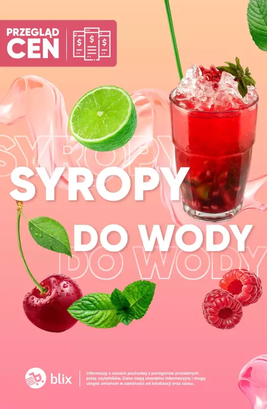 Biedronka - gazetka promocyjna Syropy do wody - przegląd cen  