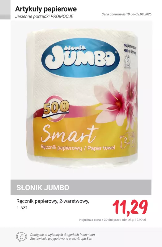Rossmann - gazetka promocyjna Przygotuj się na jesienne porządki - PROMOCJE od poniedziałku 25.08 do wtorku 02.09 - strona 17