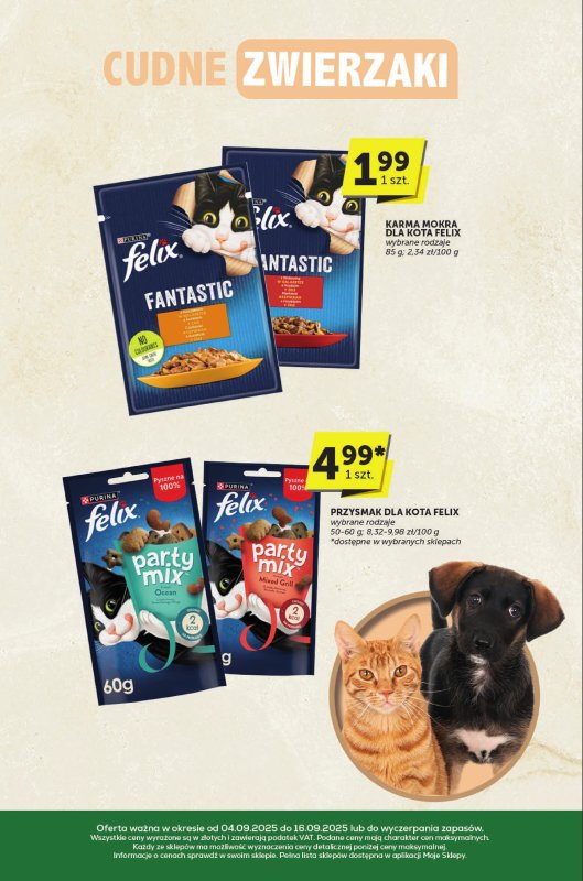 ABC - gazetka promocyjna Katalog  do wtorku 16.09 - strona 31