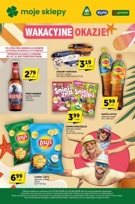 Euro Sklep - gazetka promocyjna Katalog  do wtorku 19.08