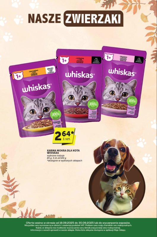 Euro Sklep - gazetka promocyjna Katalog  do wtorku 30.09 - strona 34
