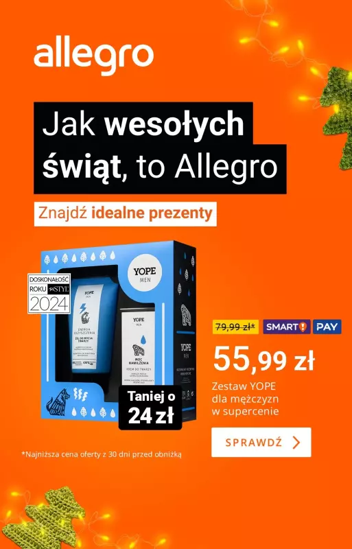 Allegro - gazetka promocyjna Jak trafiony prezent, to Allegro! od poniedziałku 16.12 do niedzieli 22.12 - strona 6