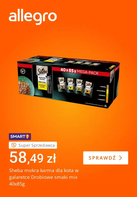 Allegro - gazetka promocyjna Wszystko dla Twojego pupila   - strona 3