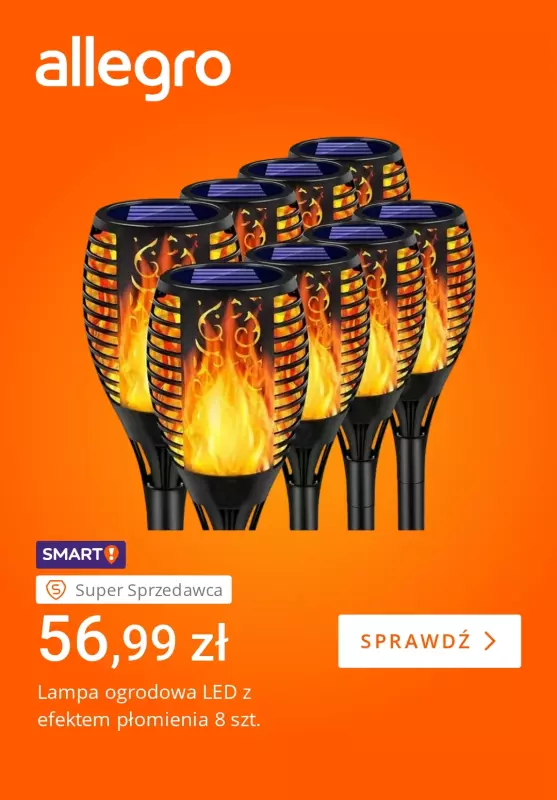 Allegro - gazetka promocyjna Jak wakacje w ogrodzie, to Allegro   - strona 2