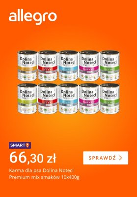 Allegro - gazetka promocyjna Wielopaki: kupuj więcej za mniej od piątku 08.08 do czwartku 14.08