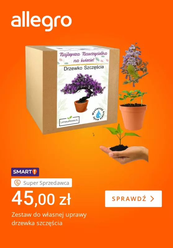 Allegro - gazetka promocyjna Dzień Nauczyciela: upominki z klasą od piątku 10.10 do czwartku 16.10 - strona 4