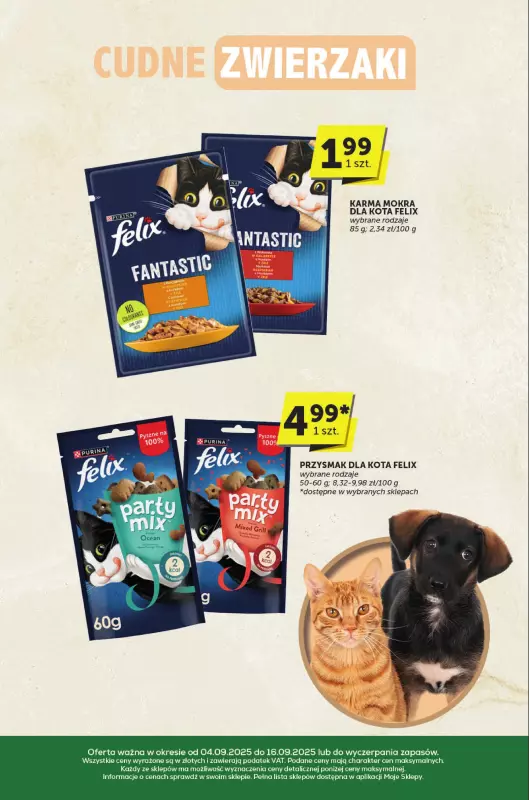 Groszek - gazetka promocyjna Katalog  do wtorku 16.09 - strona 31