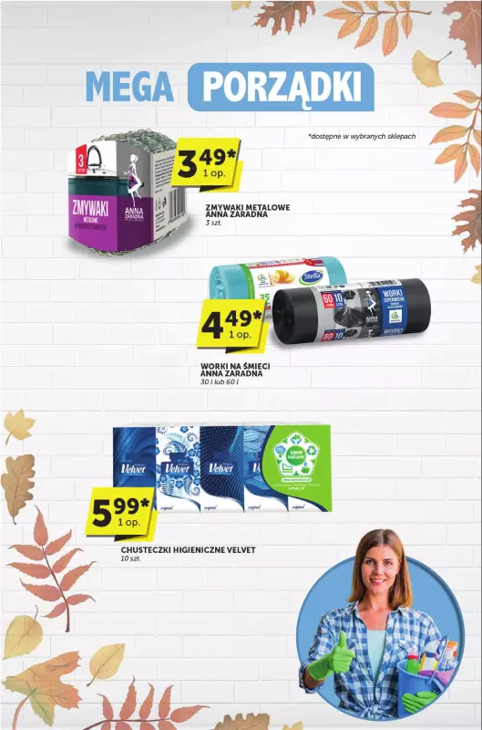Groszek - gazetka promocyjna Katalog  do wtorku 30.09 - strona 33