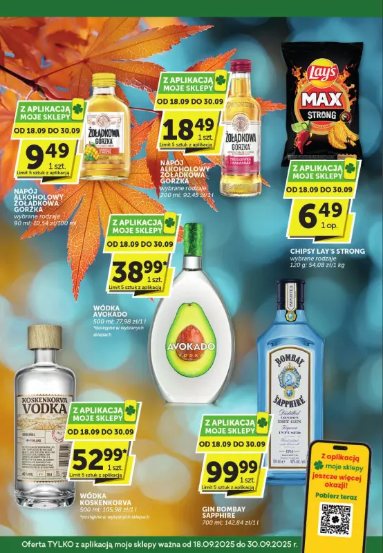 Groszek - gazetka promocyjna Katalog alkoholowy  do wtorku 30.09 - strona 5