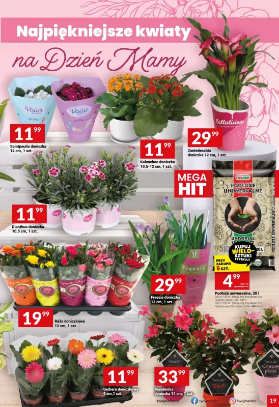 Twój Market - gazetka promocyjna Gazetka od środy 21.05 do wtorku 27.05 - strona 19