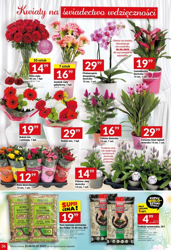 Twój Market - gazetka promocyjna Gazetka od środy 25.06 do wtorku 01.07 - strona 36