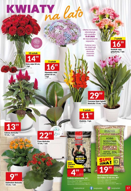 Twój Market - gazetka promocyjna Gazetka od środy 16.07 do wtorku 22.07 - strona 17
