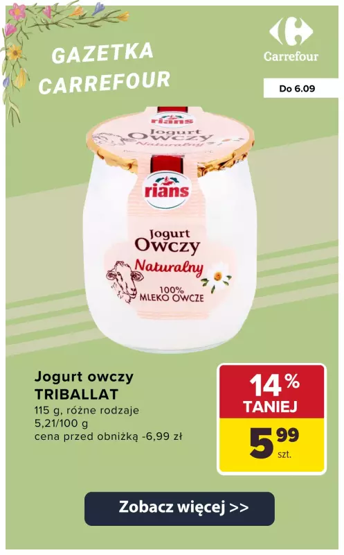 Carrefour - gazetka promocyjna JOGURTY I SKYRY do -60% na drugi produkt od wtorku 02.09 do soboty 06.09 - strona 7