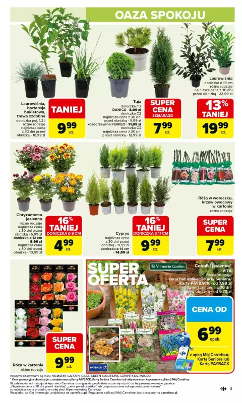 Carrefour - gazetka promocyjna Gazetka Łap super okazje od czwartku   - strona 3