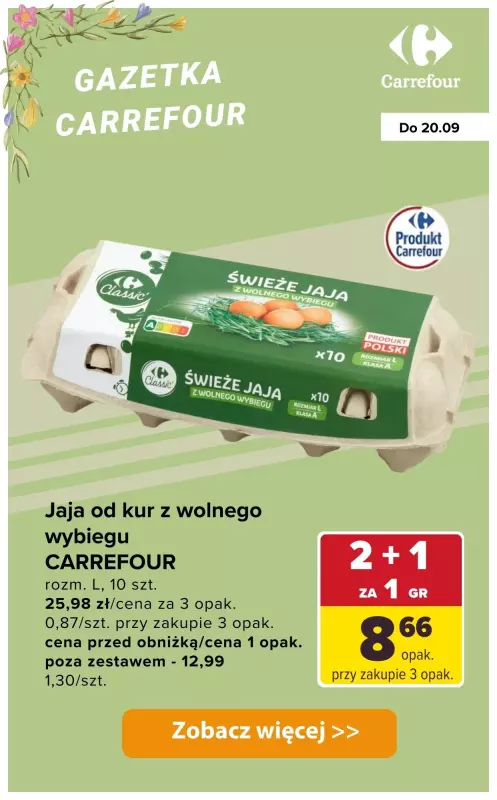 Carrefour - gazetka promocyjna Produkty 2+1 za GROSZ od wtorku 16.09 do soboty 20.09 - strona 5