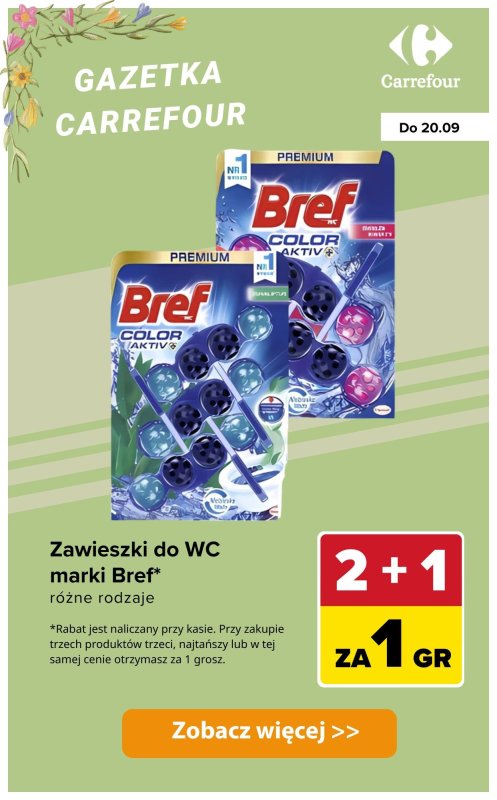 Carrefour - gazetka promocyjna Produkty 2+1 za GROSZ od wtorku 16.09 do soboty 20.09 - strona 9