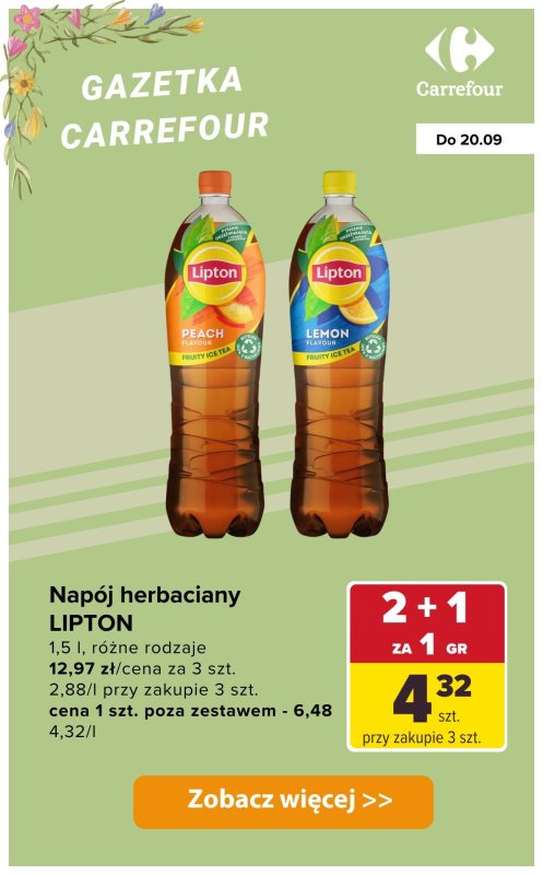 Carrefour - gazetka promocyjna Produkty 2+1 za GROSZ od wtorku 16.09 do soboty 20.09 - strona 7