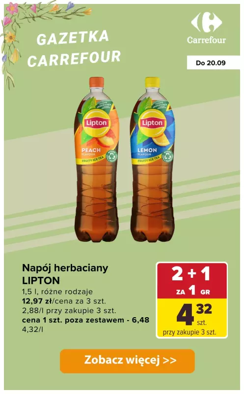 Carrefour - gazetka promocyjna Produkty 2+1 za GROSZ od wtorku 16.09 do soboty 20.09 - strona 7