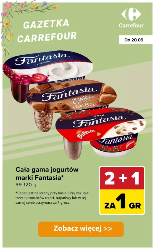 Carrefour - gazetka promocyjna Produkty 2+1 za GROSZ od wtorku 16.09 do soboty 20.09 - strona 4