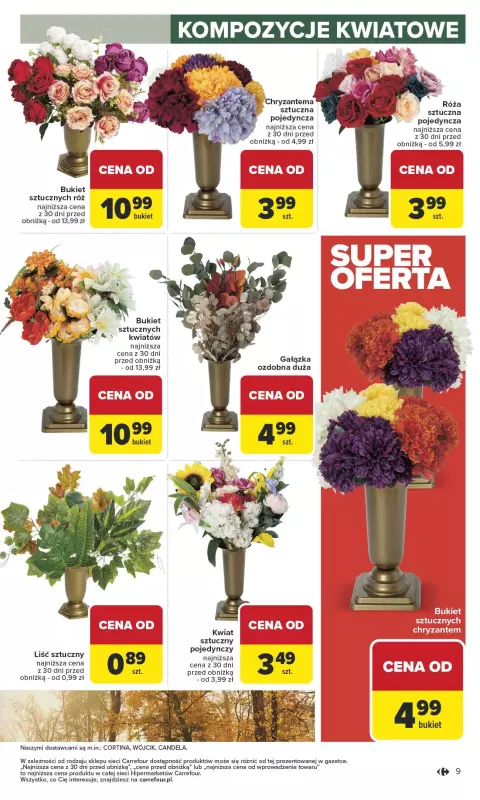 Carrefour - gazetka promocyjna Gazetka Łap okazje od czwartku od czwartku 09.10 do środy 22.10 - strona 9
