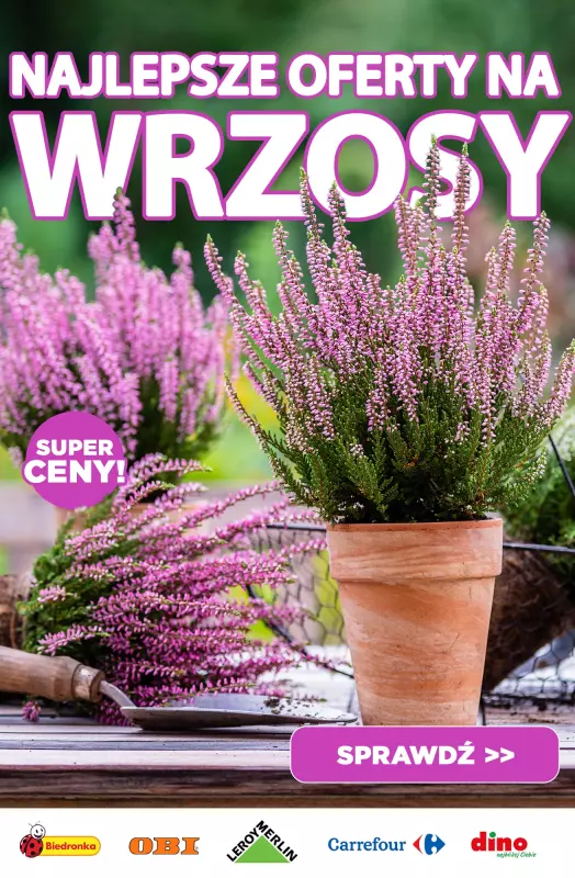 BEST SALE - gazetka promocyjna Najlepsze oferty na WRZOSY!  