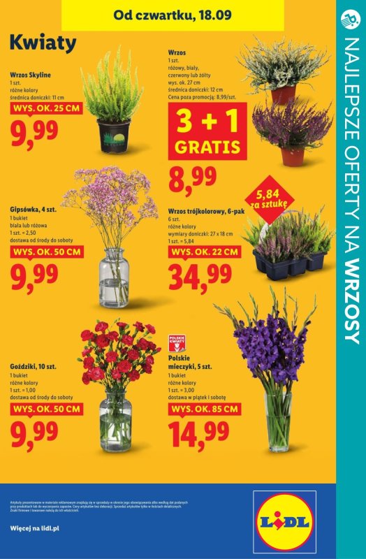 BEST SALE - gazetka promocyjna Najlepsze oferty na WRZOSY! od czwartku 18.09 do soboty 20.09 - strona 9