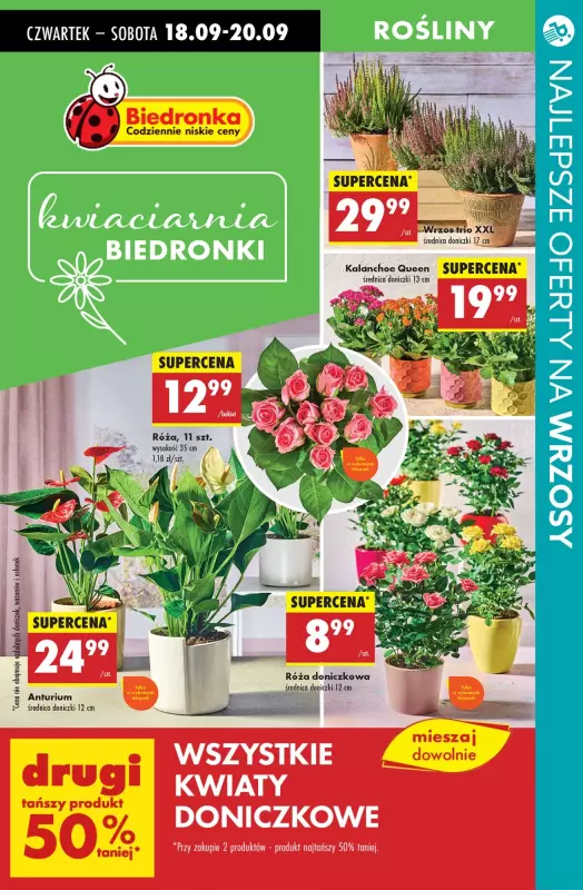 BEST SALE - gazetka promocyjna Najlepsze oferty na WRZOSY!   - strona 3