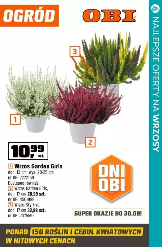 BEST SALE - gazetka promocyjna Najlepsze oferty na WRZOSY!   - strona 2