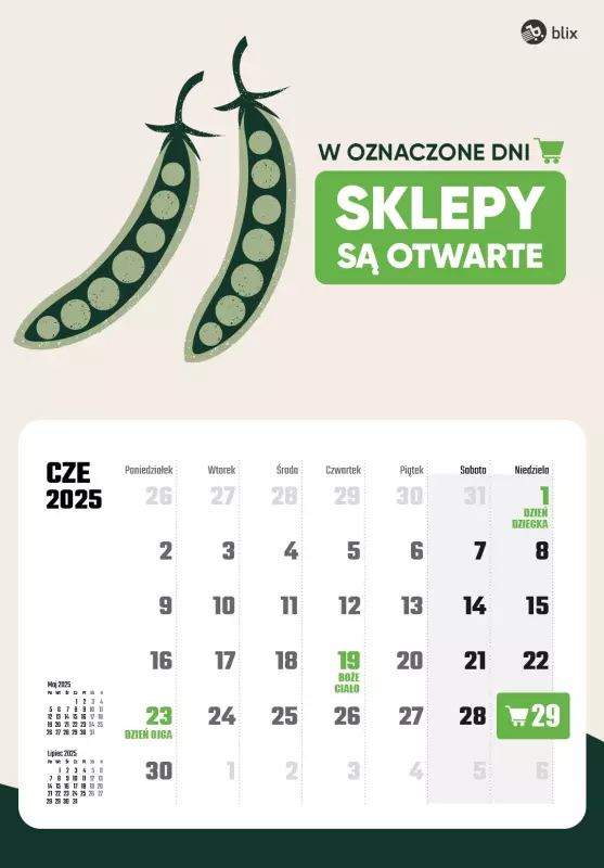Niedziele handlowe - gazetka promocyjna Niedziele handlowe 2025  do środy 31.12 - strona 6