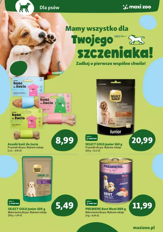 MAXI ZOO - gazetka promocyjna Maxi Zoo - Wszystko dla szczeniaka i kociaka od czwartku 01.05 do soboty 31.05 - strona 2