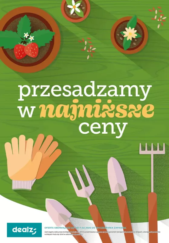 Dealz - gazetka promocyjna PRZESADZAMY W NAJNIŻSZE CENY  