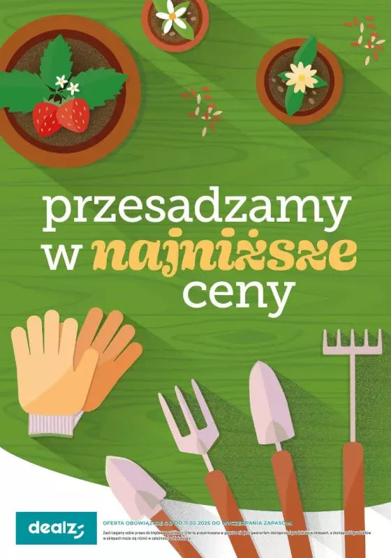 Dealz - gazetka promocyjna PRZESADZAMY W NAJNIŻSZE CENY od czwartku 13.02 do piątku 07.03