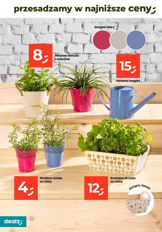 Dealz - gazetka promocyjna PRZESADZAMY W NAJNIŻSZE CENY od wtorku 22.04  - strona 26