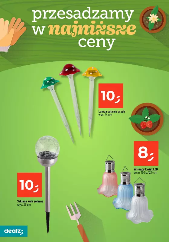 Dealz - gazetka promocyjna PRZESADZAMY W NAJNIŻSZE CENY od wtorku 22.04  - strona 12