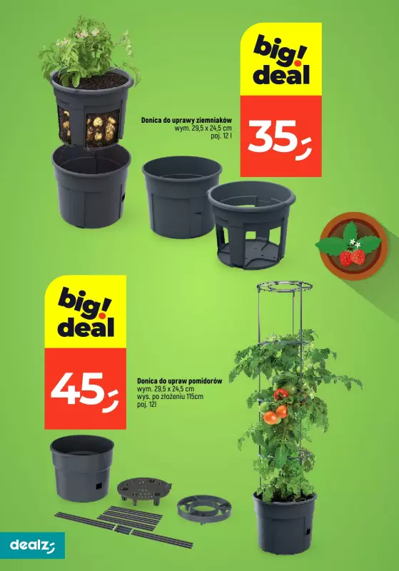 Dealz - gazetka promocyjna PRZESADZAMY W NAJNIŻSZE CENY od wtorku 22.04  - strona 14