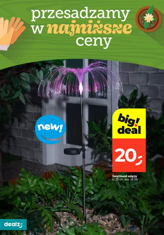 Dealz - gazetka promocyjna PRZESADZAMY W NAJNIŻSZE CENY od wtorku 22.04  - strona 10