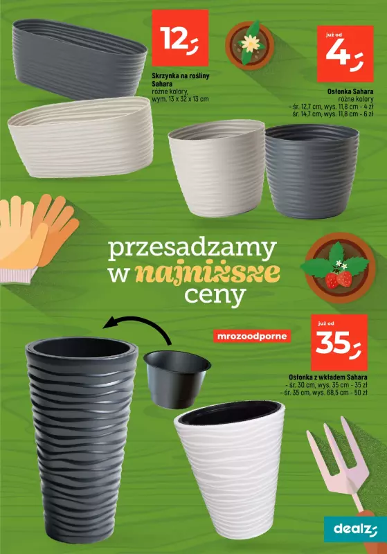Dealz - gazetka promocyjna PRZESADZAMY W NAJNIŻSZE CENY od wtorku 22.04  - strona 29