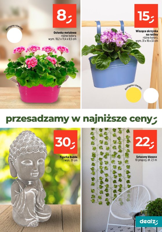 Dealz - gazetka promocyjna PRZESADZAMY W NAJNIŻSZE CENY od wtorku 22.04  - strona 19