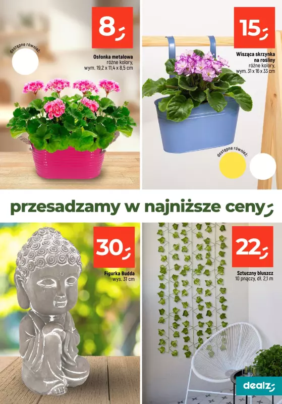 Dealz - gazetka promocyjna PRZESADZAMY W NAJNIŻSZE CENY od wtorku 22.04  - strona 19