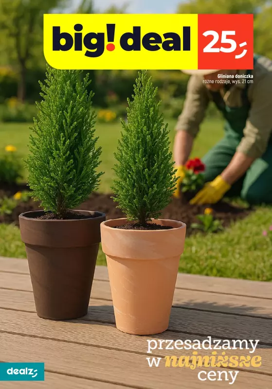 Dealz - gazetka promocyjna PRZESADZAMY W NAJNIŻSZE CENY   - strona 6