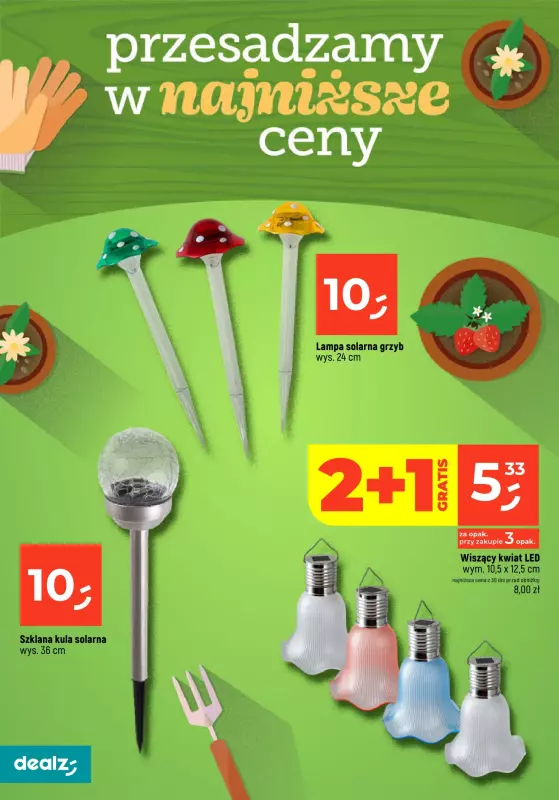 Dealz - gazetka promocyjna PRZESADZAMY W NAJNIŻSZE CENY od wtorku 22.04 do poniedziałku 30.06 - strona 12
