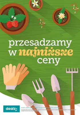 Dealz - gazetka promocyjna PRZESADZAMY W NAJNIŻSZE CENY od wtorku 22.04 do poniedziałku 30.06