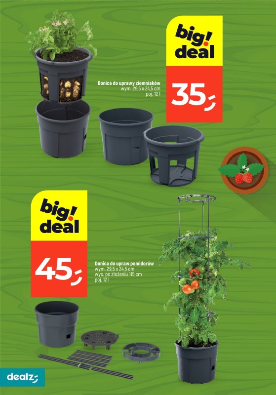 Dealz - gazetka promocyjna PRZESADZAMY W NAJNIŻSZE CENY od wtorku 22.04 do poniedziałku 30.06 - strona 18
