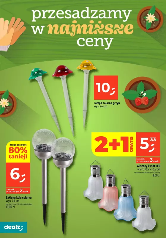 Dealz - gazetka promocyjna PRZESADZAMY W NAJNIŻSZE CENY od wtorku 22.04 do poniedziałku 30.06 - strona 8