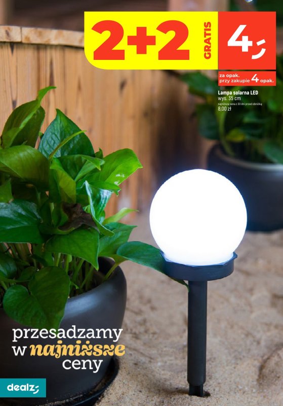 Dealz - gazetka promocyjna PRZESADZAMY W NAJNIŻSZE CENY od wtorku 22.04 do czwartku 31.07 - strona 10