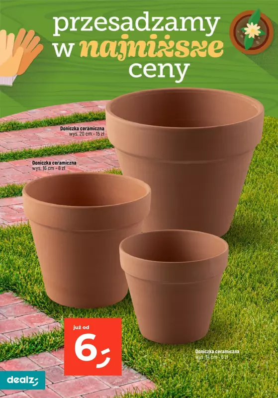 Dealz - gazetka promocyjna PRZESADZAMY W NAJNIŻSZE CENY od wtorku 22.04 do poniedziałku 30.06 - strona 22