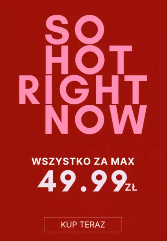 Renee - gazetka promocyjna Wszystko za max 49,99 zł  